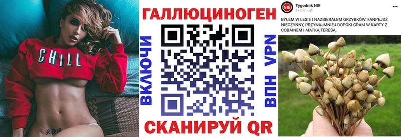 Галлюциногенные грибы Psilocybe Медвежьегорск